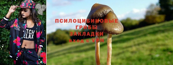 крисы Арсеньев