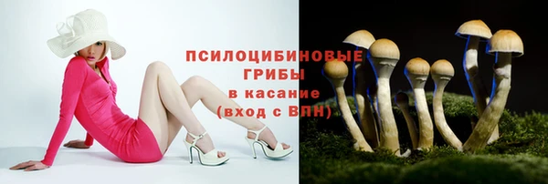 соль ск Аркадак