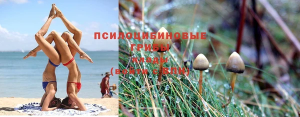 крисы Арсеньев