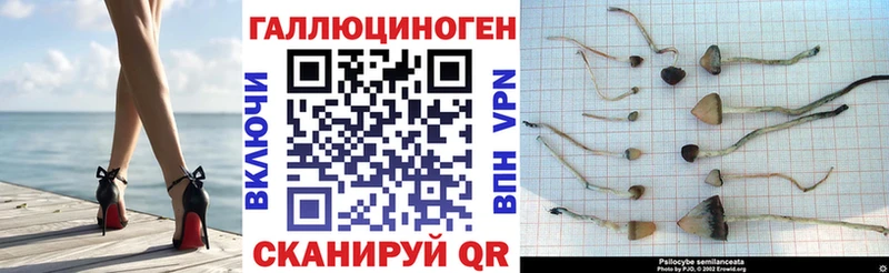Псилоцибиновые грибы GOLDEN TEACHER  Лянтор 